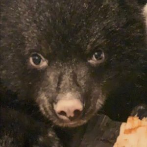 Meet your Posher, Mya